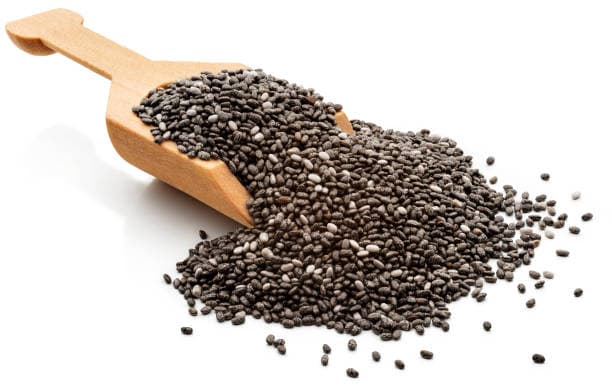 Seeds from India — premium quality for global export