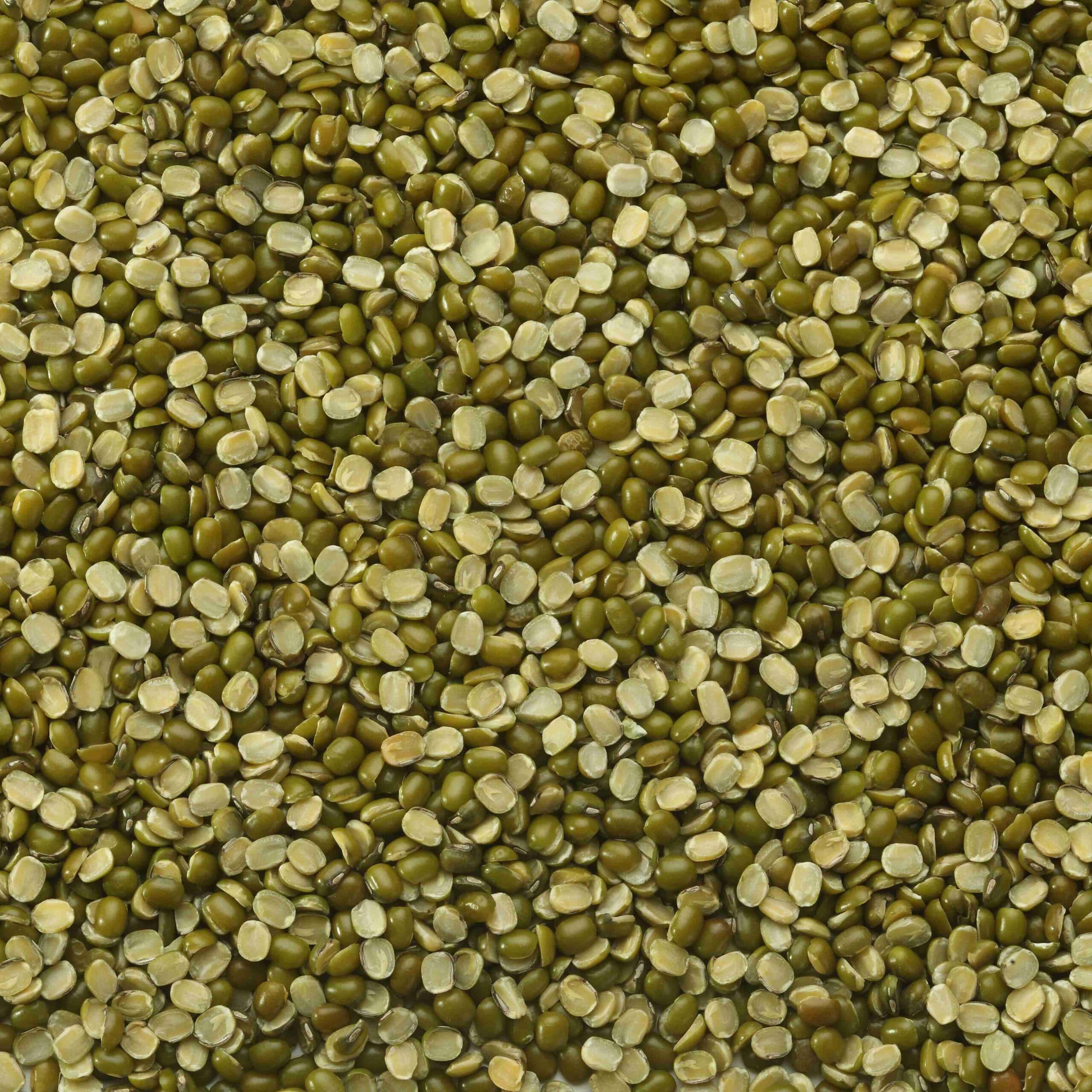 Moong Dal from India — Premium grade for export