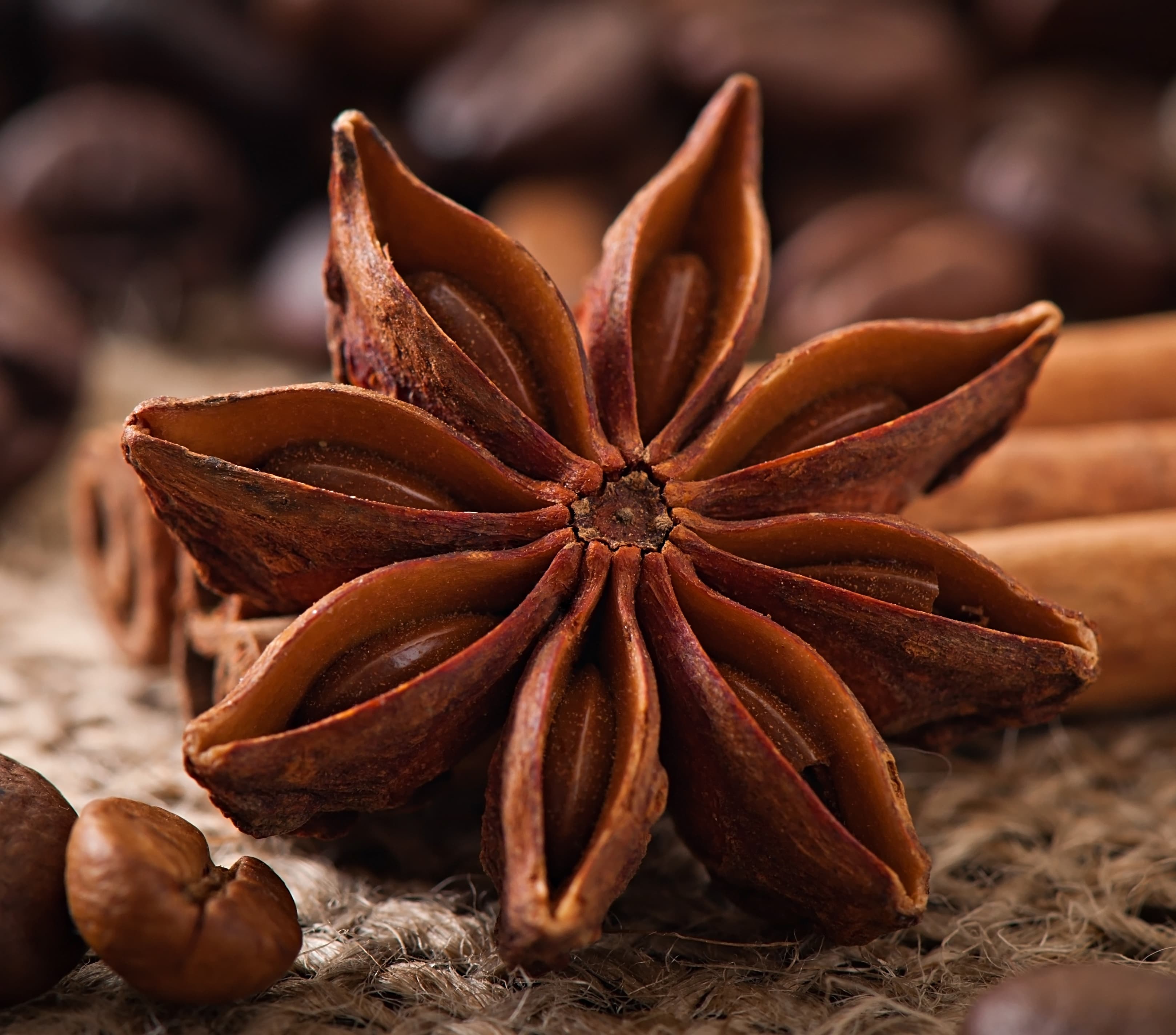 Star Anise from India — Whole grade for export