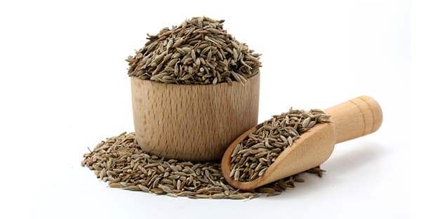 Cumin Seeds from Gujarat: Why Unjha Cumin is the World's Best — Home2Global Trade blog